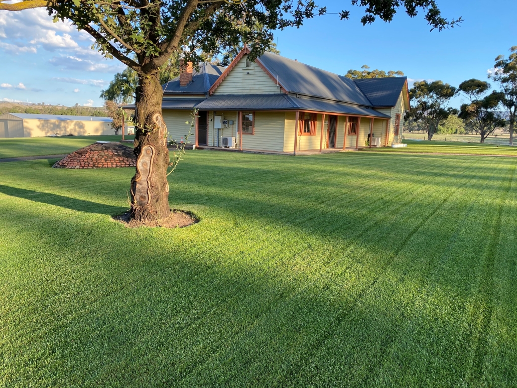 Rtf Tall Fescue Lawn Turf Tasmania Strathayr 9656