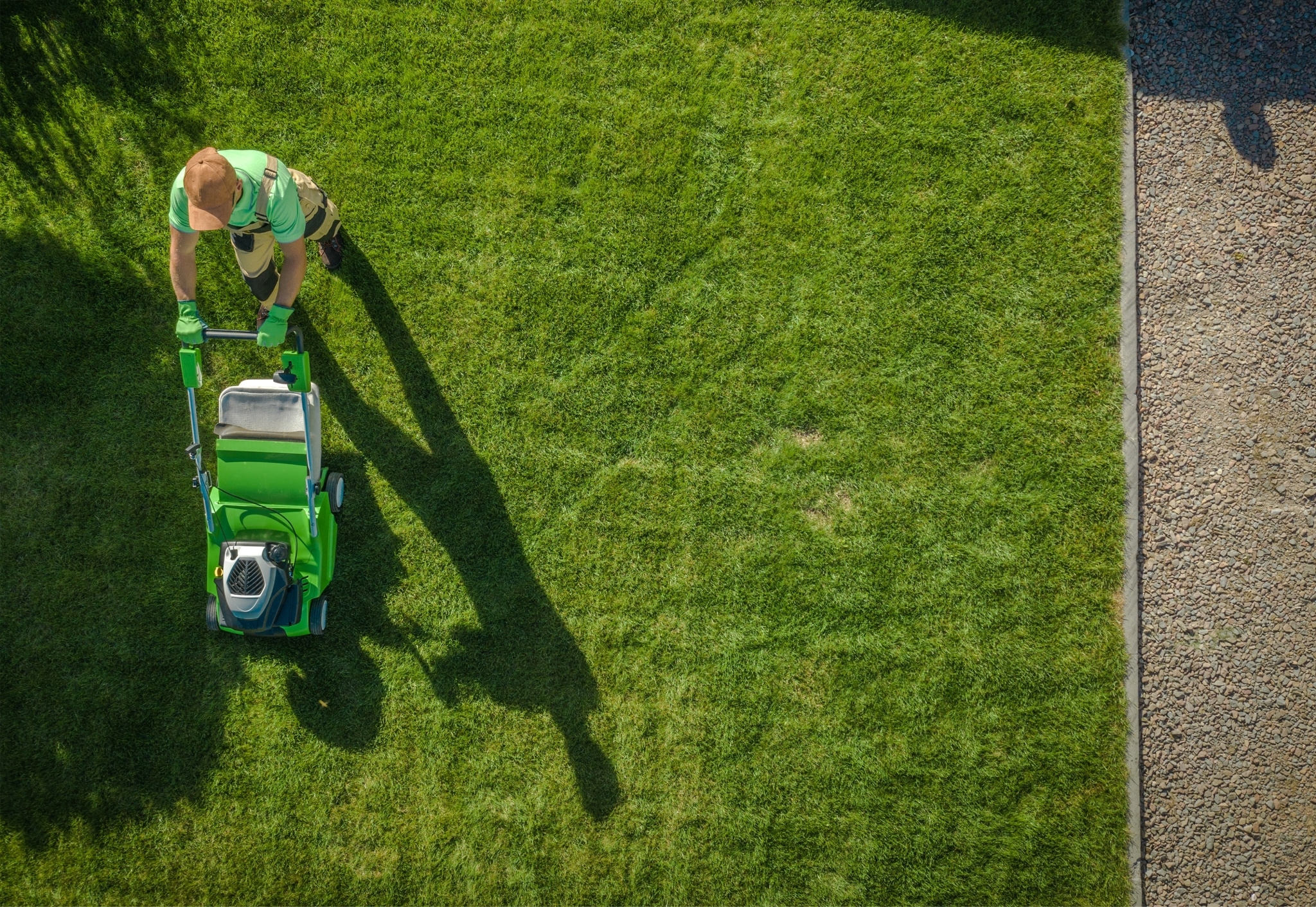 RTF Tall Fescue Lawn Turf | Tasmania - StrathAyr