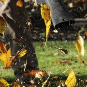 Leaf blower blowing leaves