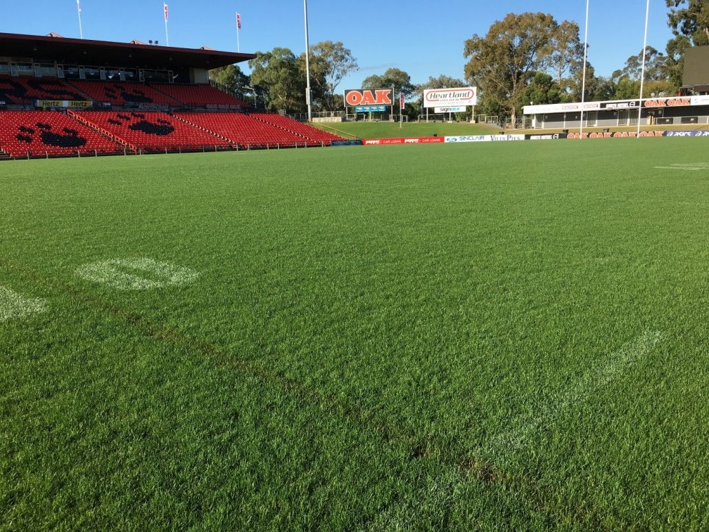Turf at Credit Union Australia stadium