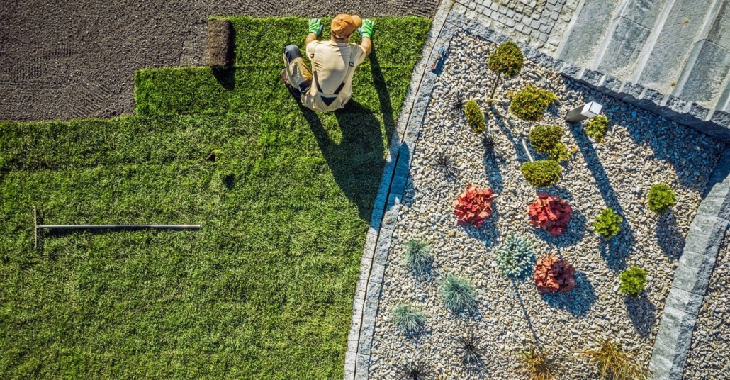 roll out turf