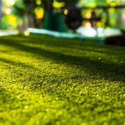 Artificial turf with sunlight,Grass field blur