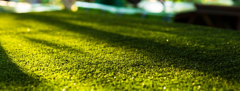 Artificial turf with sunlight,Grass field blur