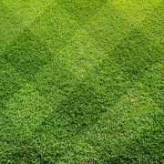 Top view of Beautiful square tone lawn