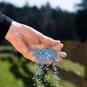 Hand holding and spreading fertiliser