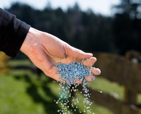 Hand holding and spreading fertiliser